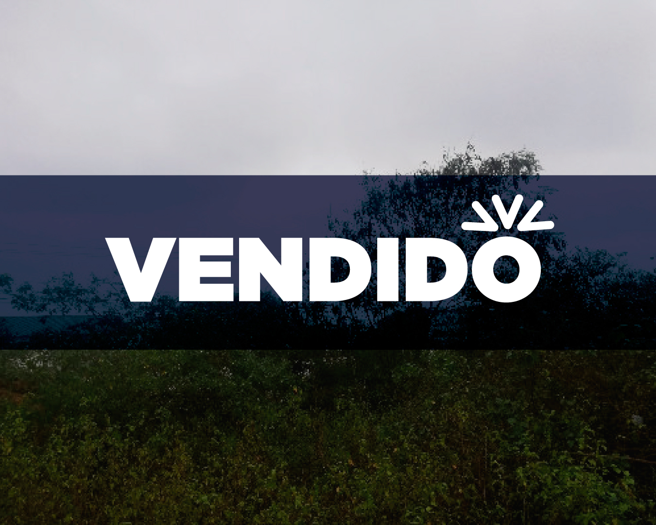 Concluido